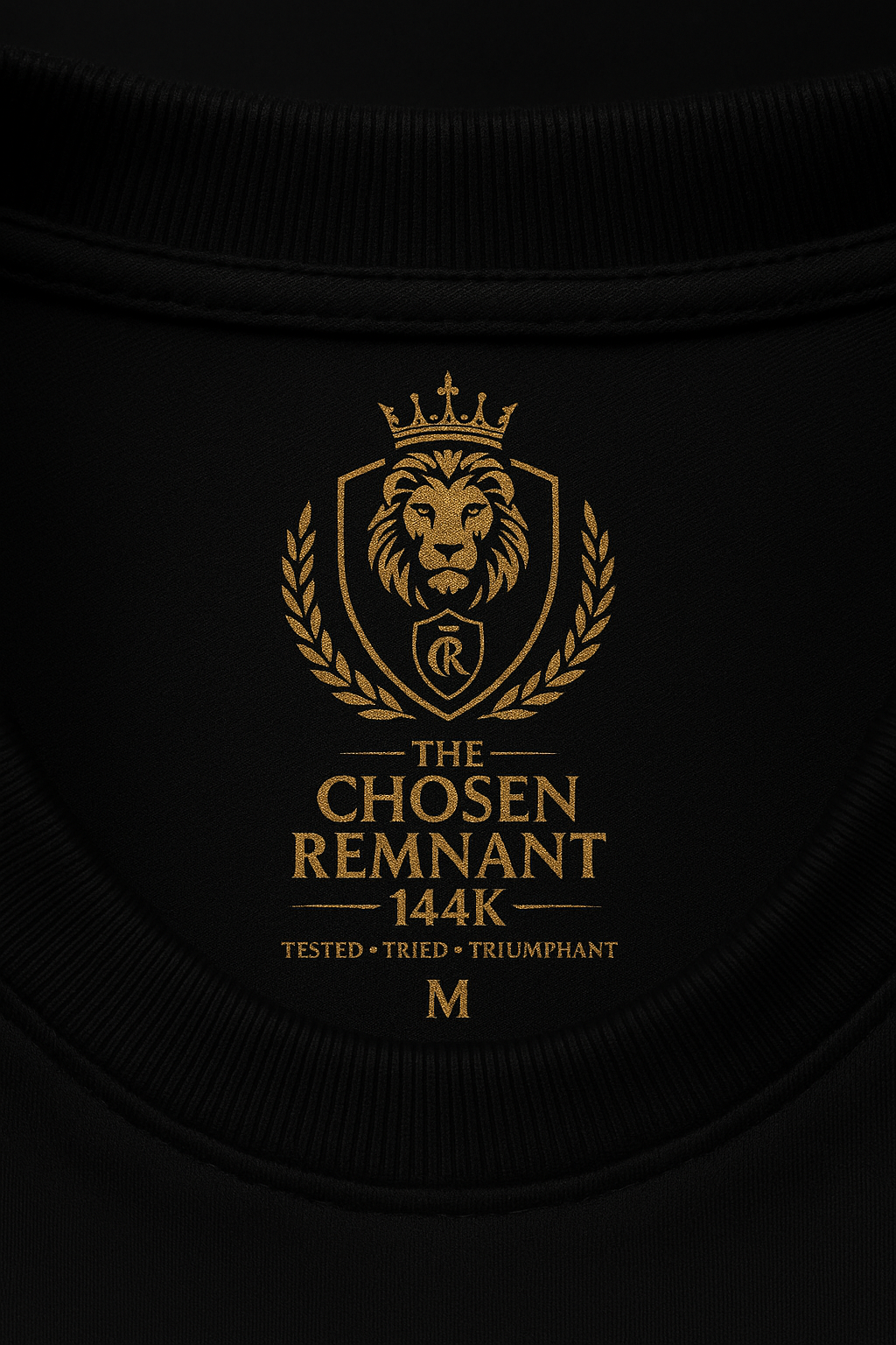 “God’s Presence – Ark of Glory” Tee (1 Kings 8:10-11)