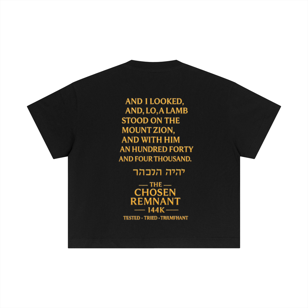 Essential Cotton Boxy T-Shirt