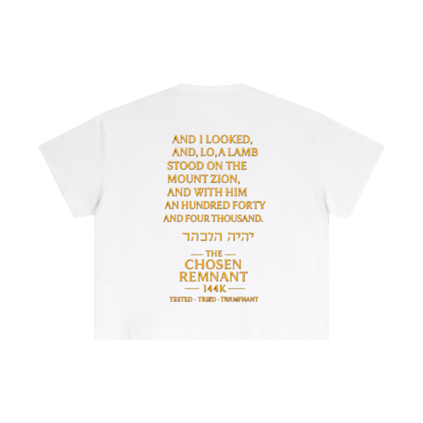 Essential Cotton Boxy T-Shirt